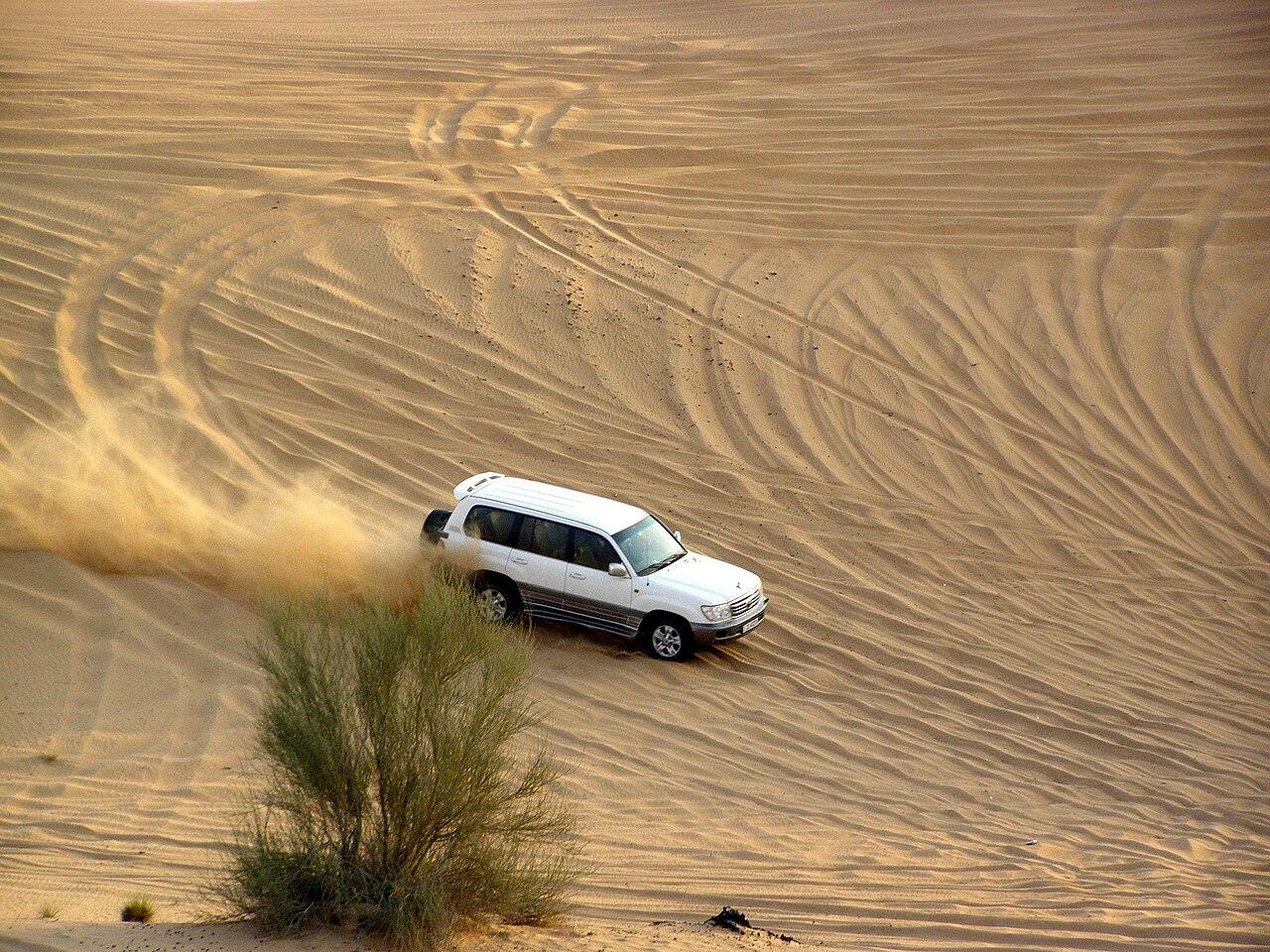 Desert Safari, Dubai Desert Conservation Reserve